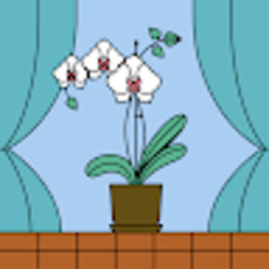 Meet your Posher, Gabriel